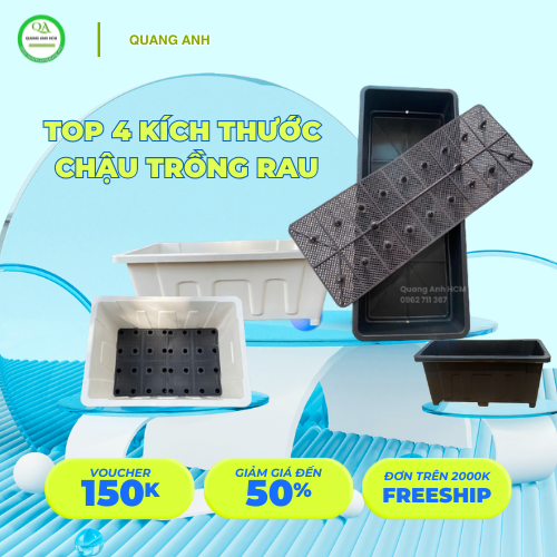 TOP 4 KÍCH THƯỚC CHẬU NHỰA TRỒNG RAU ĐƯỢC SỬ DỤNG NHIỀU NHẤT TOP 4 KÍCH THƯỚC CHẬU NHỰA TRỒNG RAU ĐƯỢC SỬ DỤNG NHIỀU NHẤT