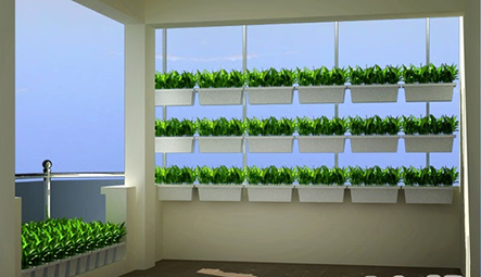Trồng rau sạch tại nhà đơn giản, thiết kế vườn rau sạch bởi Quang Anh