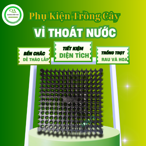 TOP 4 ỨNG DỤNG VỈ THOÁT NƯỚC PLASTIC CELL GIÁ RẺ TẠI TP.HCM TOP 4 ỨNG DỤNG VỈ THOÁT NƯỚC PLASTIC CELL GIÁ RẺ TẠI TP.HCM