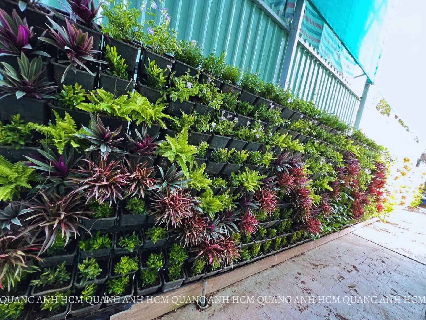 Nhận Thiết Kế Thi Công Vườn Trên Tường Đẹp, Giá Hợp Lí tại Hồ Chí Minh