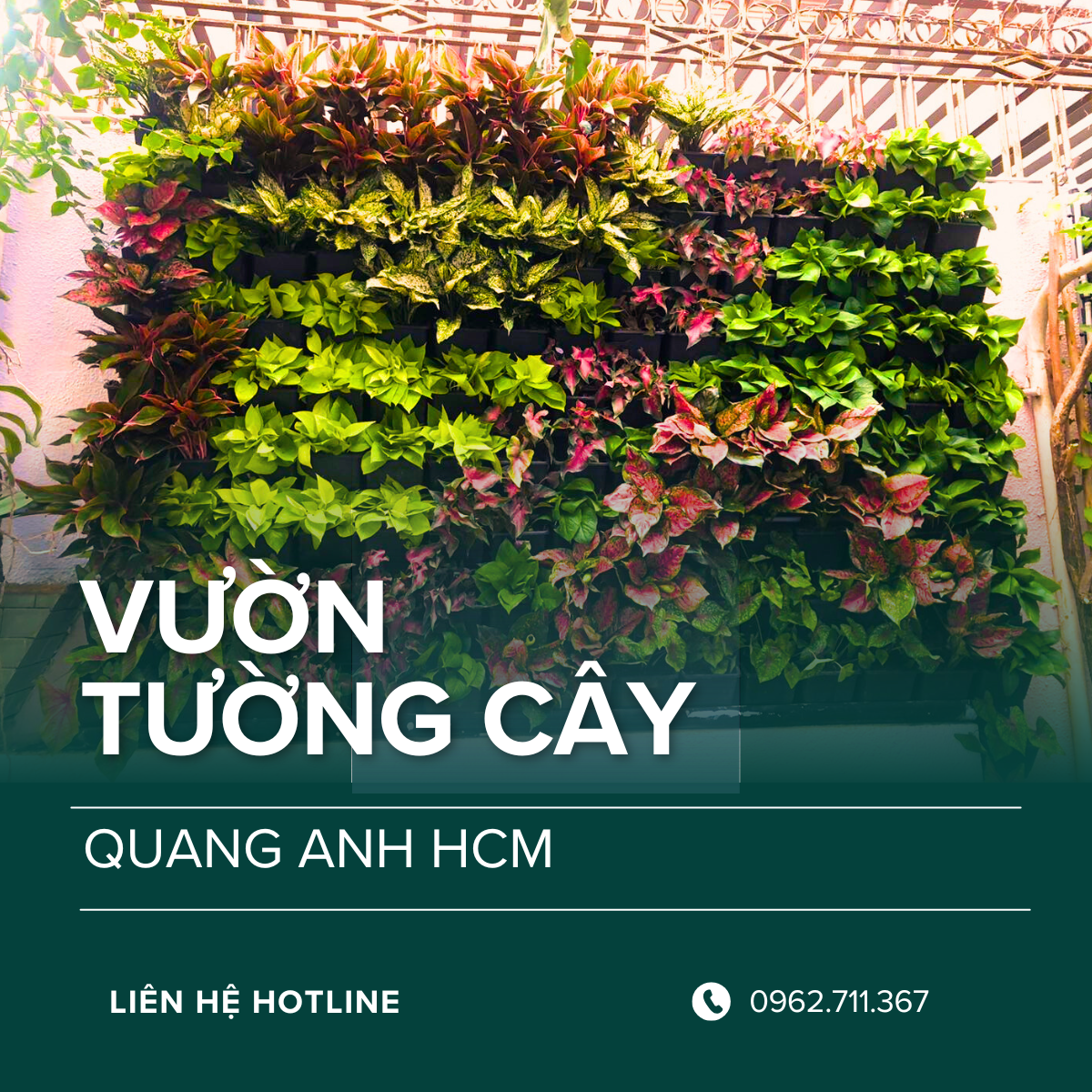 THI CÔNG VƯỜN TƯỜNG CÂY TẠI TP. HỒ CHÍ MINH - Kiến tạo không gian xanh hiện đại THI CÔNG VƯỜN TƯỜNG CÂY TẠI TP. HỒ CHÍ MINH - Kiến tạo không gian xanh hiện đại