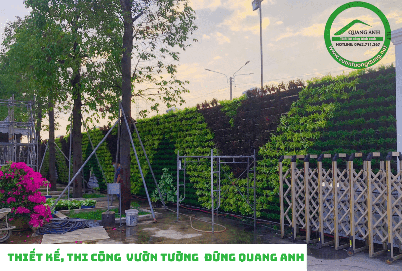 Báo giá thiết kế, thi công vườn trên tường, vườn tường đứng của Quang Anh Hồ Chí Minh
