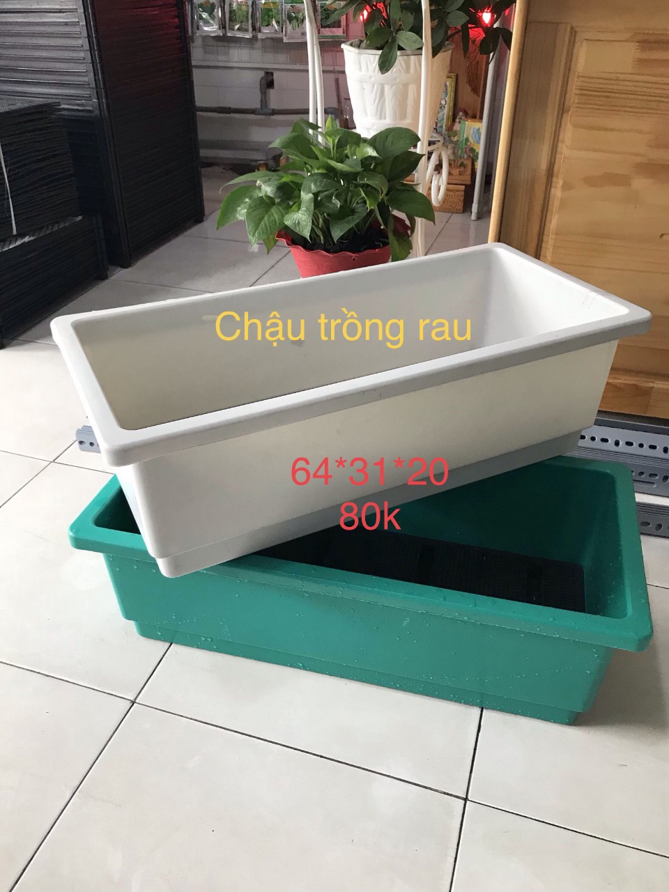 Chậu nhựa trồng cây hình chữ nhật giá rẻ và thông minh tại Quang Anh
